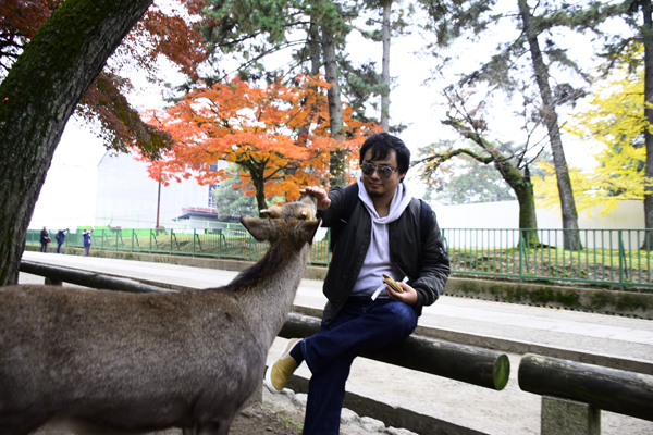 奈良公園の鹿って なんで鹿せんべい売り場を襲わないの もしかして忖度してるの ロカフレ