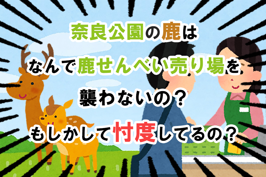 奈良公園の鹿って なんで鹿せんべい売り場を襲わないの もしかして